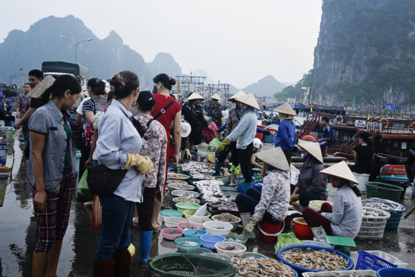 Chợ hải sản Cô Tô Cái Rồng