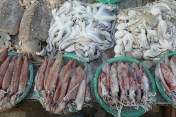 Chợ hải sản Cô Tô ngã ba Đồng Tiến