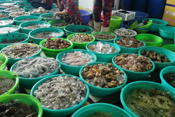 Chợ hải sản Cô Tô - chợ trung tâm Cô Tô