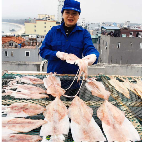 Các bước chế biến ra Mực khô Quảng Ninh như thế nào?