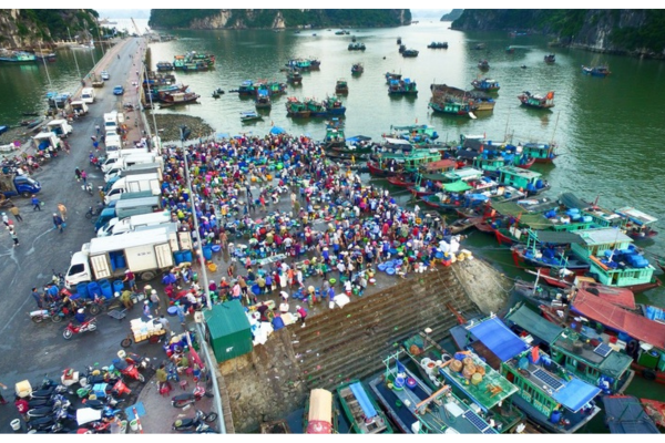 Chợ cá Bến Do