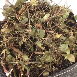 Chè Vằng Khô lợi sữa