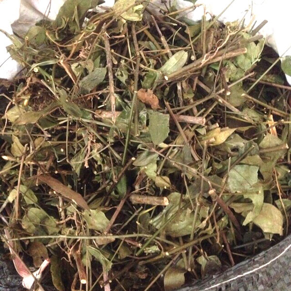 Chè vằng ở Hà Nội