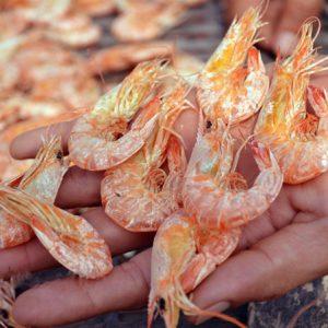 Tôm đất khô nguyên vỏ