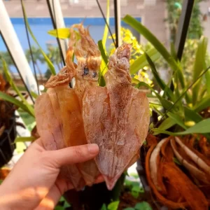 Mực Khô Size 60-80con/kg