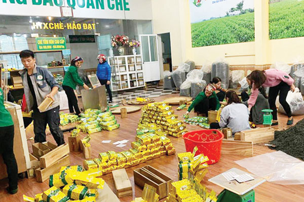 Hợp tác xã Trà Hương Cường Hợp tác xã Trà Hương Cường