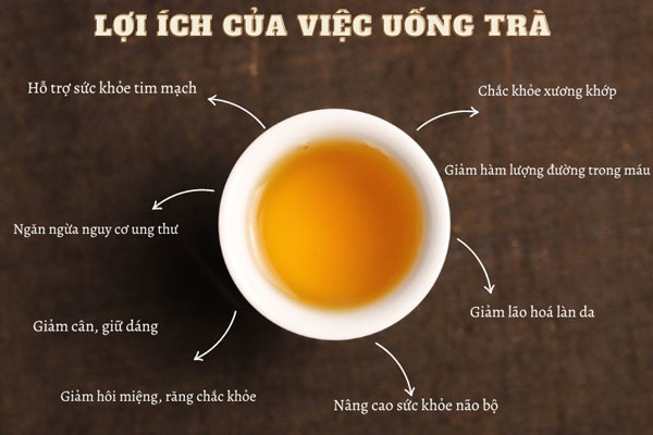 Sử dụng trà giúp lợi tiểu, giảm huyết áp, giảm cân và ngăn ngừa bệnh tim mạch hiệu quả.