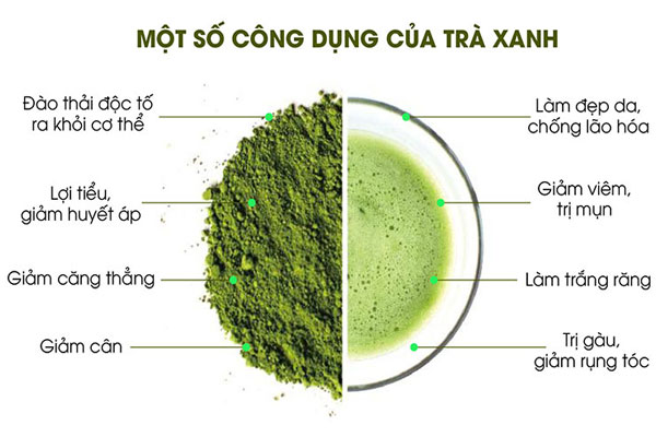 Chè xanh có tác dụng phòng chống bệnh ung thư, chống lão hóa và ngăn ngừa bệnh tim mạch,...