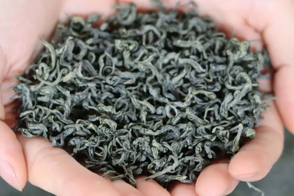 Tránh bảo quản ở những không gian ẩm thấp hoặc có nhiều ánh sáng mặt trời. Tránh bảo quản ở những không gian ẩm thấp hoặc có nhiều ánh sáng mặt trời.