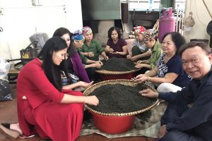 Cách phân biết chè Tân Cương Thái Nguyên Thật giả