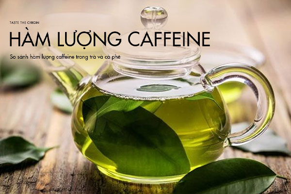 Hàm lượng dưỡng chất trong trà Thái Nguyên - Caffeine