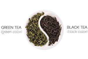 Trà đen và trà xanh khác gì nhau về mọi mặt từ màu sắc, hương vị đến lợi ích sức khỏe.