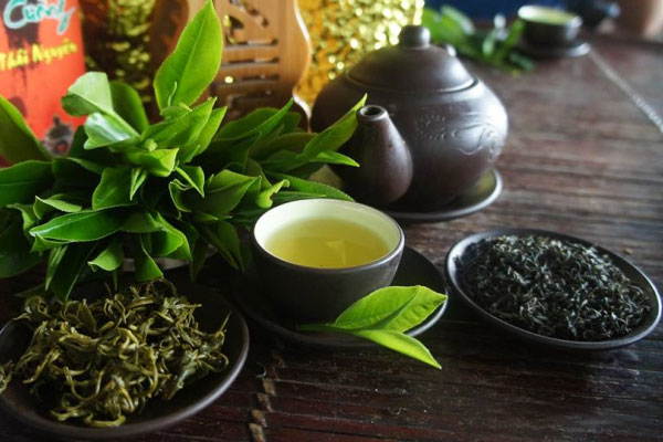 Kiểm tra bao bì, màu sắc và hương vị thơm ngon để nhận biết chè chất lượng.