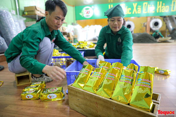 Cửa hàng Trà Thái Nguyên Phú Quốc tự hào mang đến những sản phẩm chè thượng hạng.