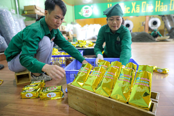 Minh Cường cam kết mang đến cho khách hàng những sản phẩm trà có nguồn gốc rõ ràng Minh Cường cam kết mang đến cho khách hàng những sản phẩm trà có nguồn gốc rõ ràng